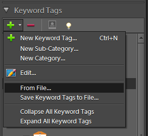 Keyword tag window in Photoshop Elements