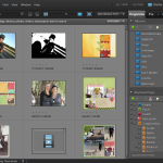Adobe Photoshop Elements Organzier