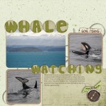 whale-watching