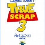 True Scrap 3 poster