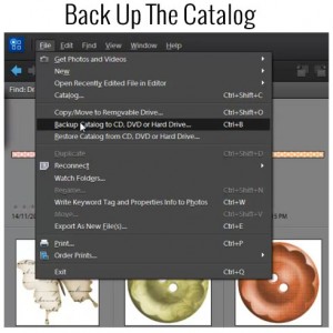 Back up the Adobe Photoshop Elements Organizer Catalog