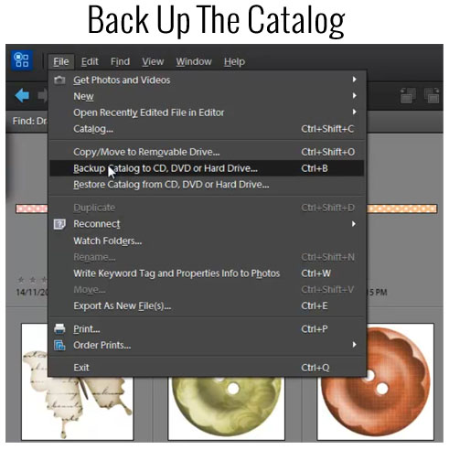 Back Up The Catalog In Photoshop Elements Organizer - Digital ...