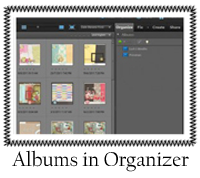 Albums in Organizer