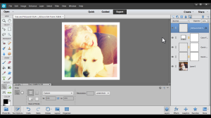 Instagram Effects  in Photoshop Elements 12 step 15 - Expert Mode added editing