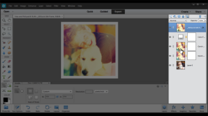 Instagram Effects  in Photoshop Elements 12 step 16 - See and Adjust Layers if desired