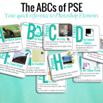 ABCs of PSE Quick Reference Guide