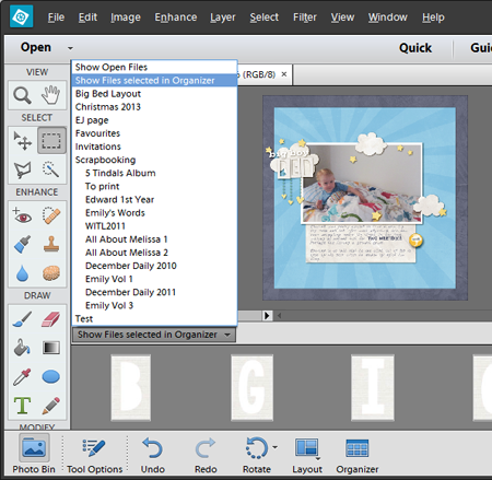Show Files Selected in the Organizer - Adobe Photoshop Elements