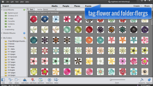 There's a hidden gem inside the Photoshop Elements Organizer. Searching for one specific item you have among hundreds and thousands of items is possible! #photoshop elements tutorial #digiscrap #scrapbooking