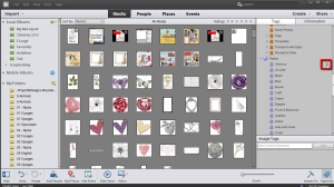 There's a hidden gem inside the Photoshop Elements Organizer. Searching for one specific item you have among hundreds and thousands of items is possible! #photoshop elements tutorial #digiscrap #scrapbooking
