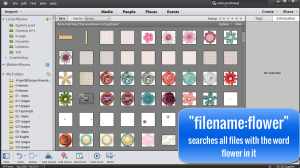 There's a hidden gem inside the Photoshop Elements Organizer. Searching for one specific item you have among hundreds and thousands of items is possible! #photoshop elements tutorial #digiscrap #scrapbooking