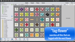 There's a hidden gem inside the Photoshop Elements Organizer. Searching for one specific item you have among hundreds and thousands of items is possible! #photoshop elements tutorial #digiscrap #scrapbooking