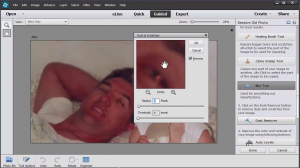 Blur tool Adobe Photoshop Elements