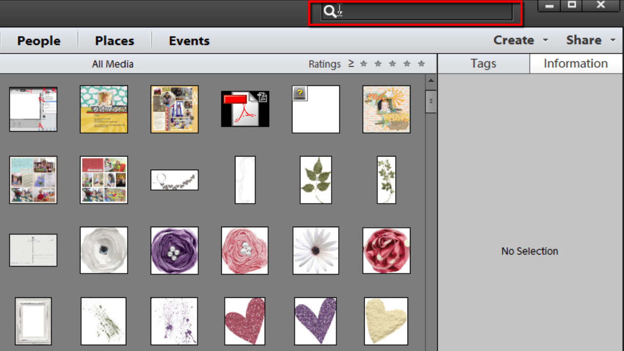 Advanced Searches in Photoshop Elements Organizer