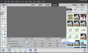 Auto show tool options Adobe Photoshop Elements