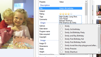 A screenshot of a Windows photo metadata