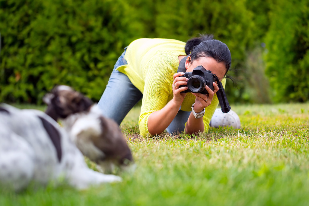 A Guide to Capturing Your Pet on Camera #photography #digiscrap