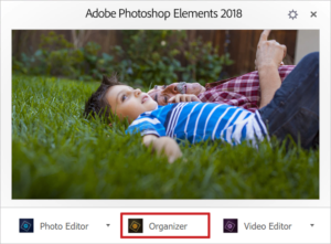 Adobe Photoshop Elements 2018 Organizer