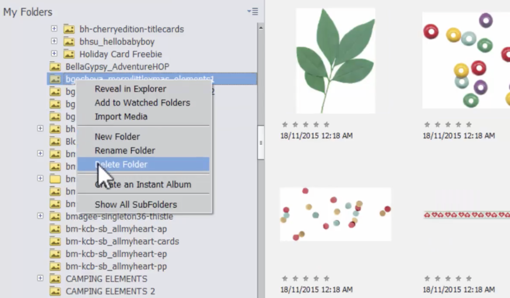 Delete Folder in Adobe Photoshop Elements Organizer