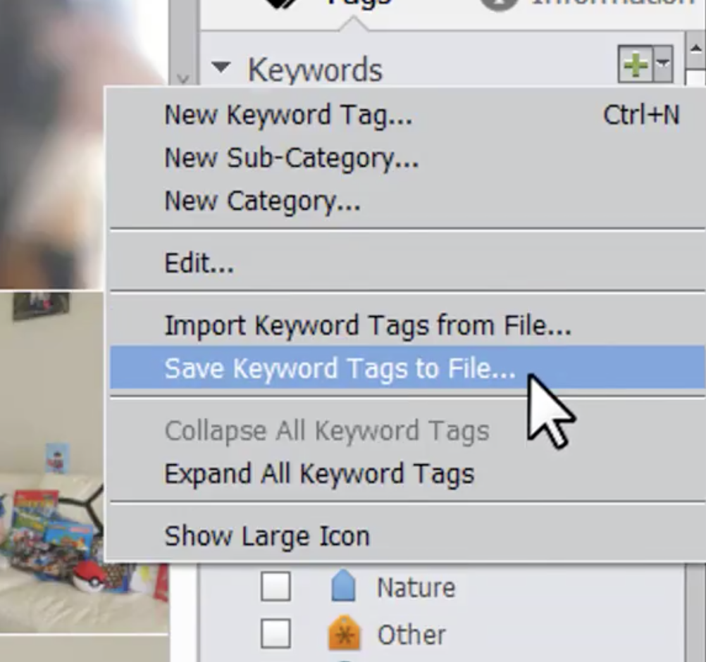 Save keyword tags to File Adobe Photoshop Elements
