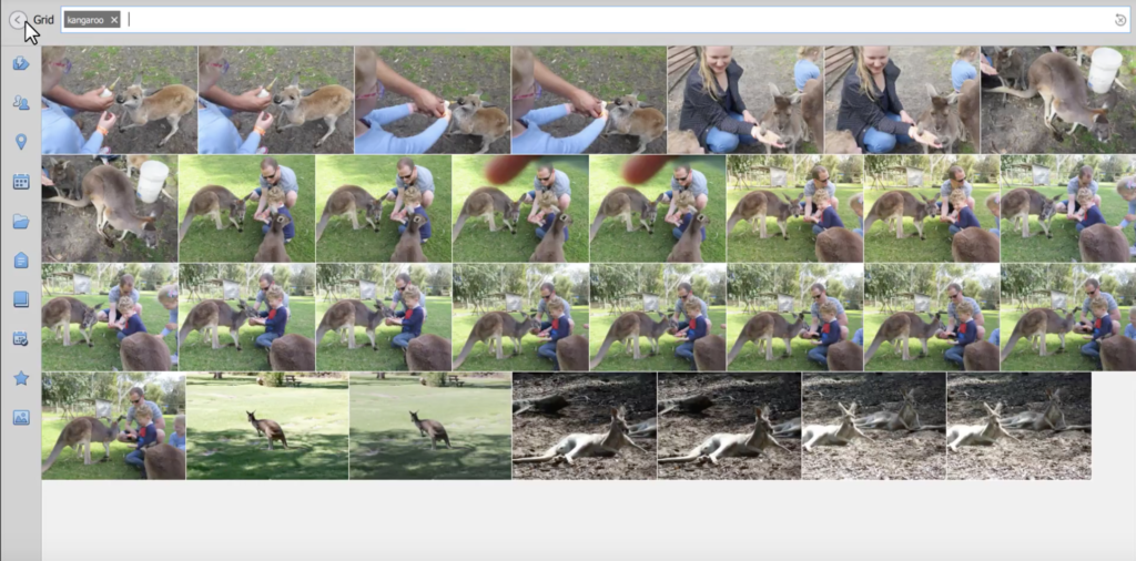 Search Kangaroos Adobe Photoshop Elements Organizer