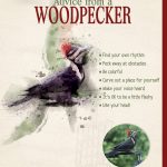 Woodpecker scrapbook page