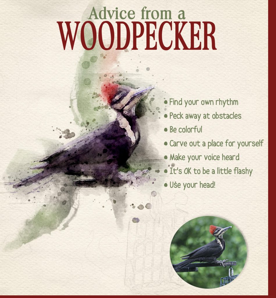 Woodpecker scrapbook page 