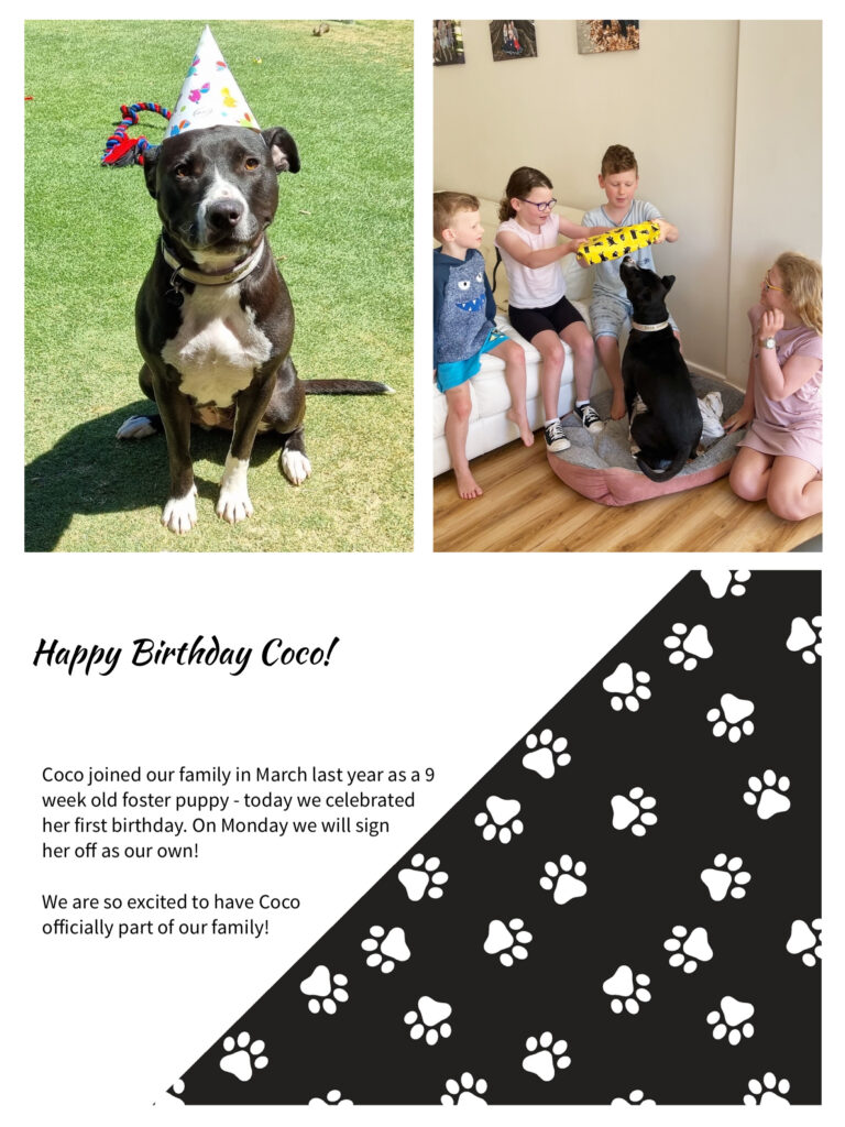 Happy Birthday Coco