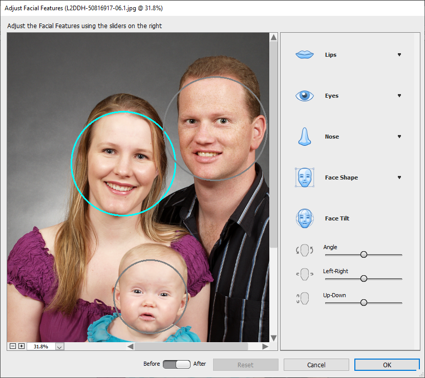 adobe photoshop elements 2021 review