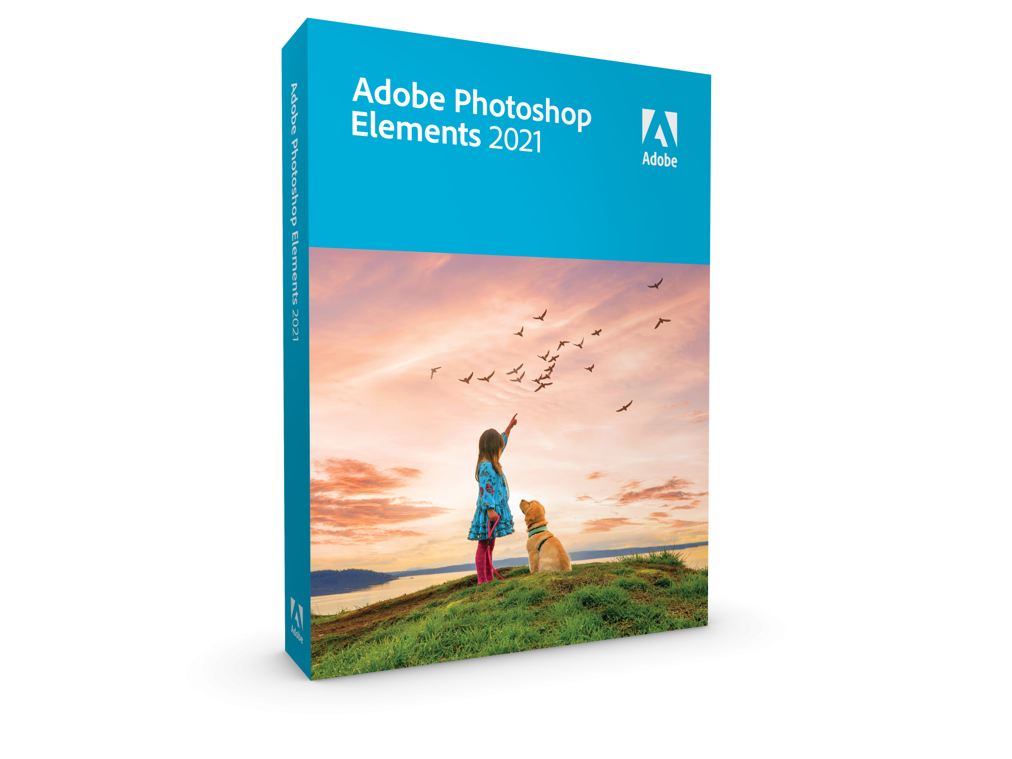 photoshop elements 2021 m1 mac