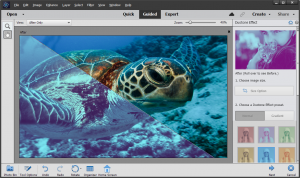 Duotone results on turtle Photoshop Elements 2021